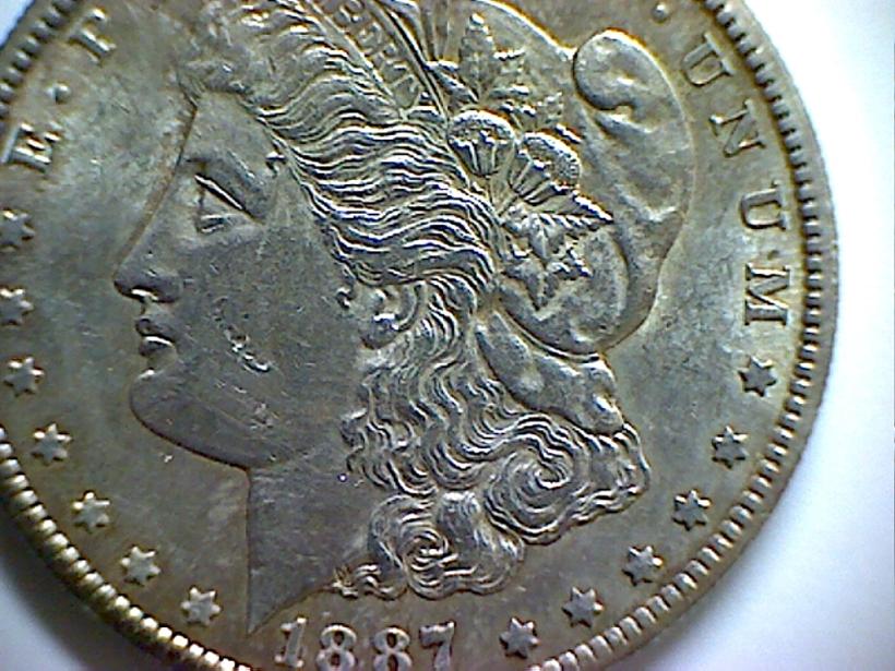 Grade-My-Morgans